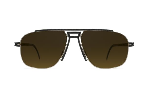 Hapter WL10, Sončna očala